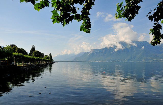 Famiglia Vevey 54230