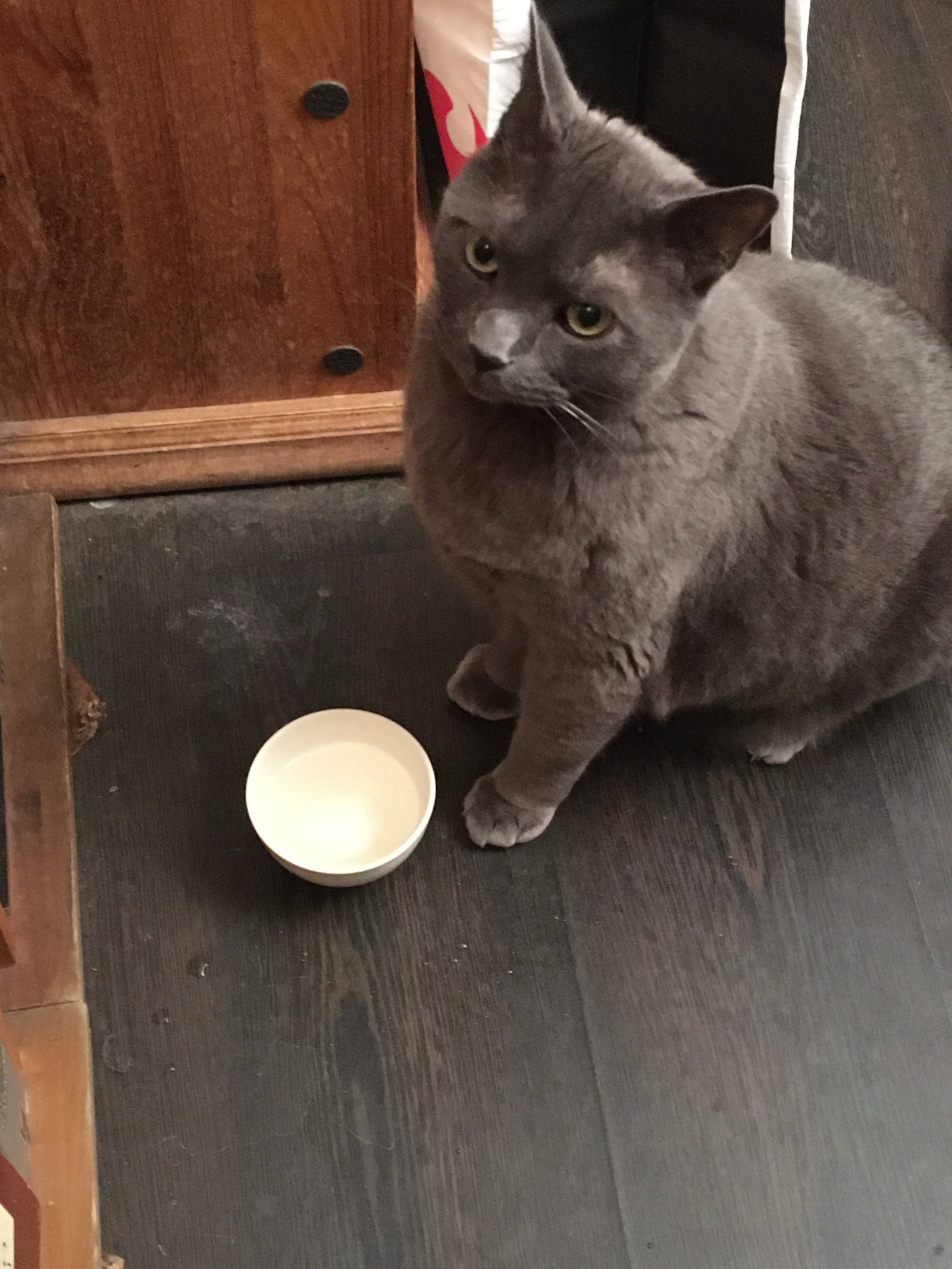 Famiglia Ivry-sur-Seine 240623