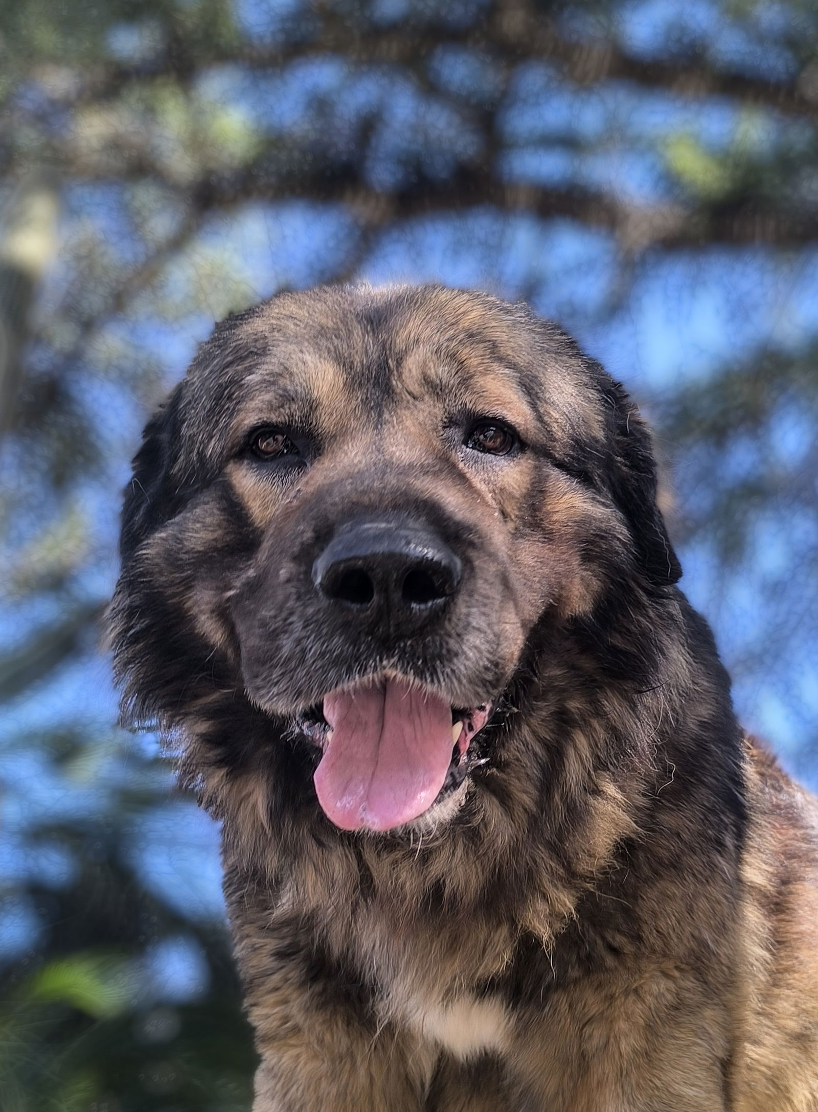 Tutta La Casa Loriguilla 494899