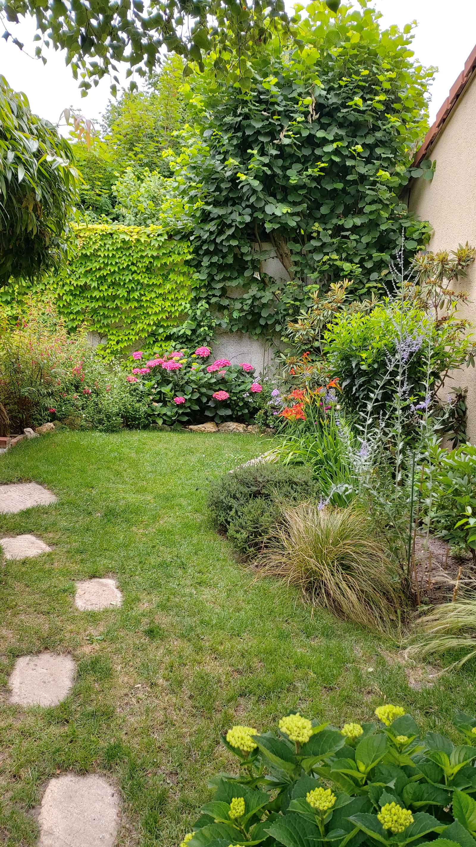 Famiglia Rambouillet 261987