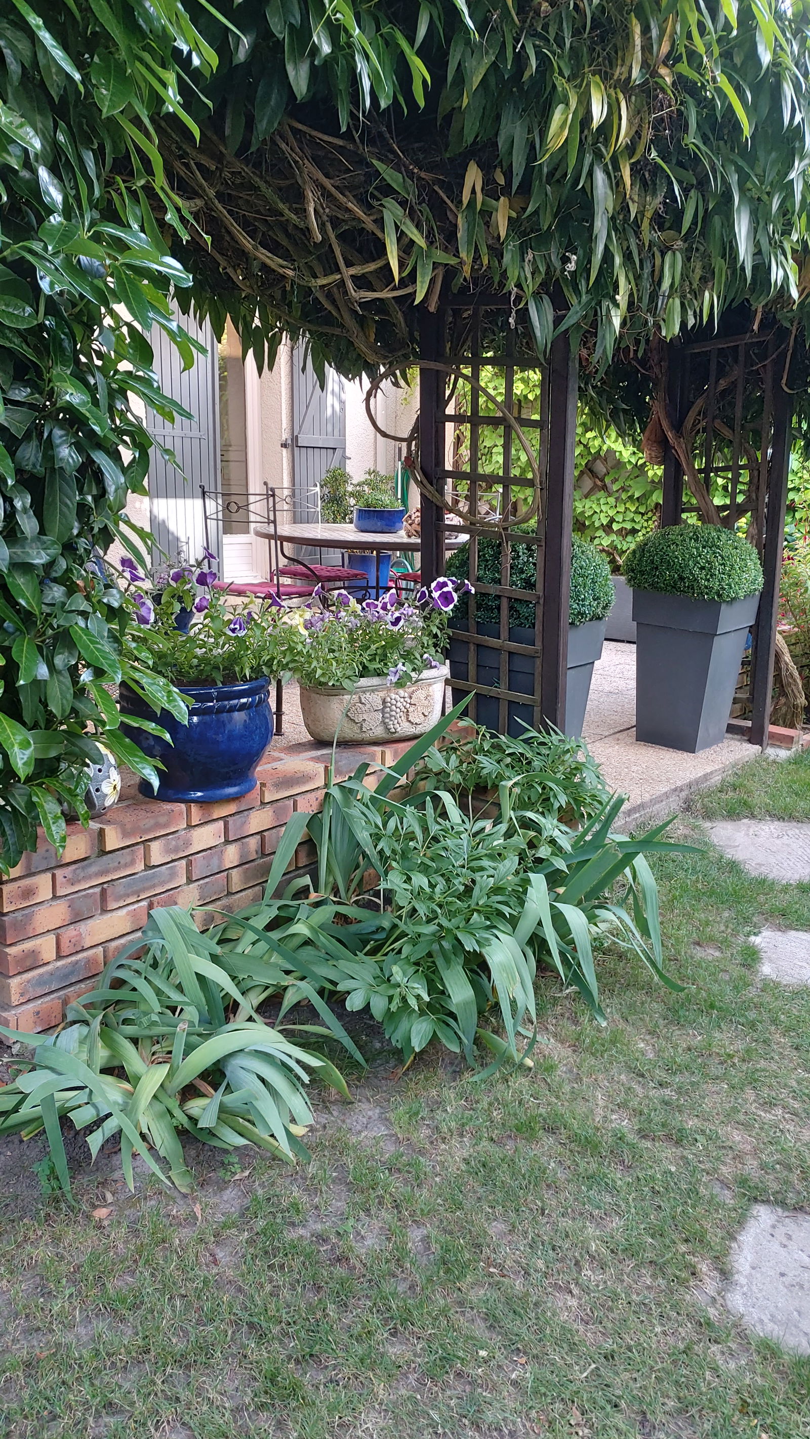 Famiglia Rambouillet 261987