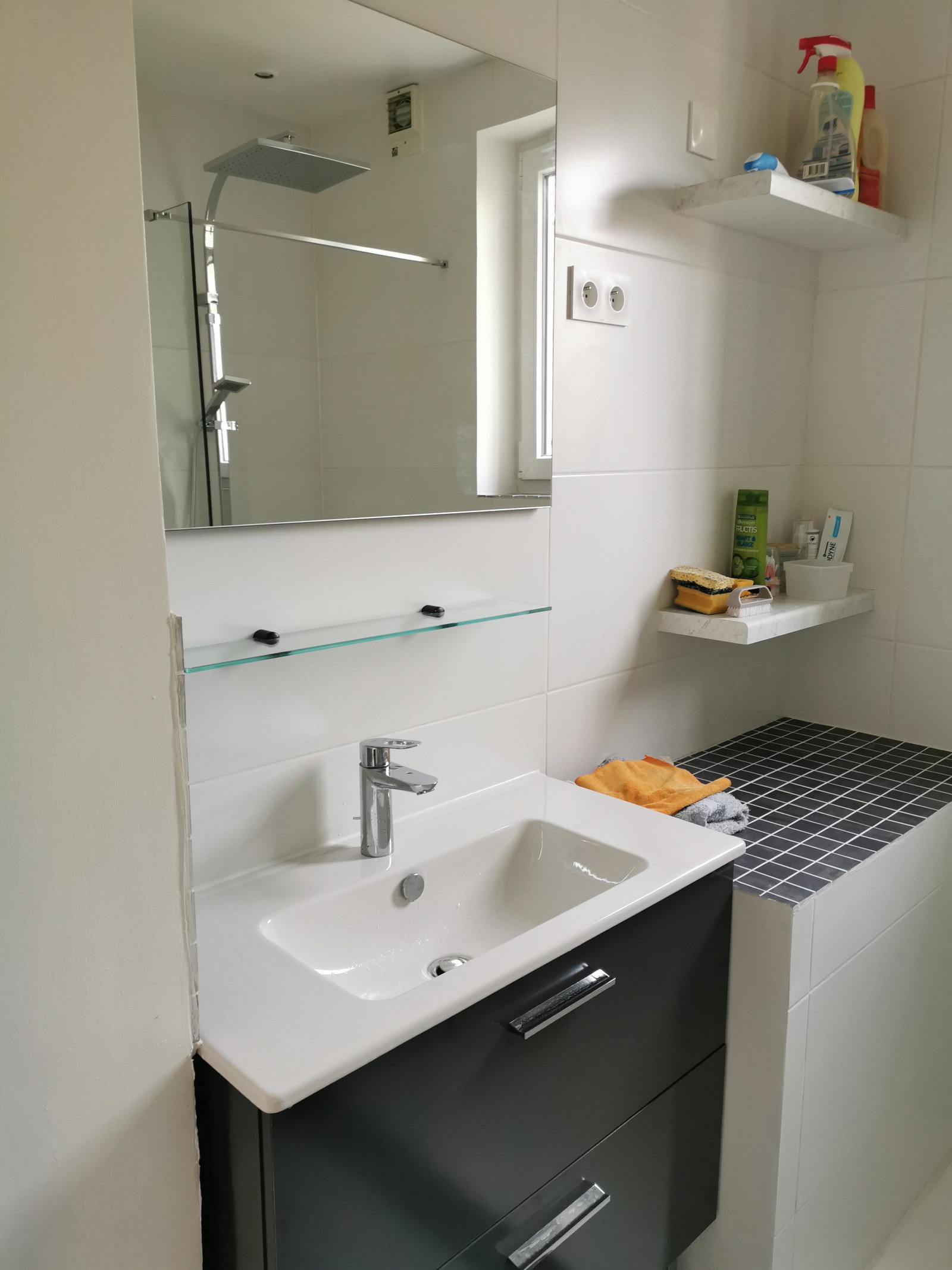 Famiglia Villeneuve-d'Ascq 459354