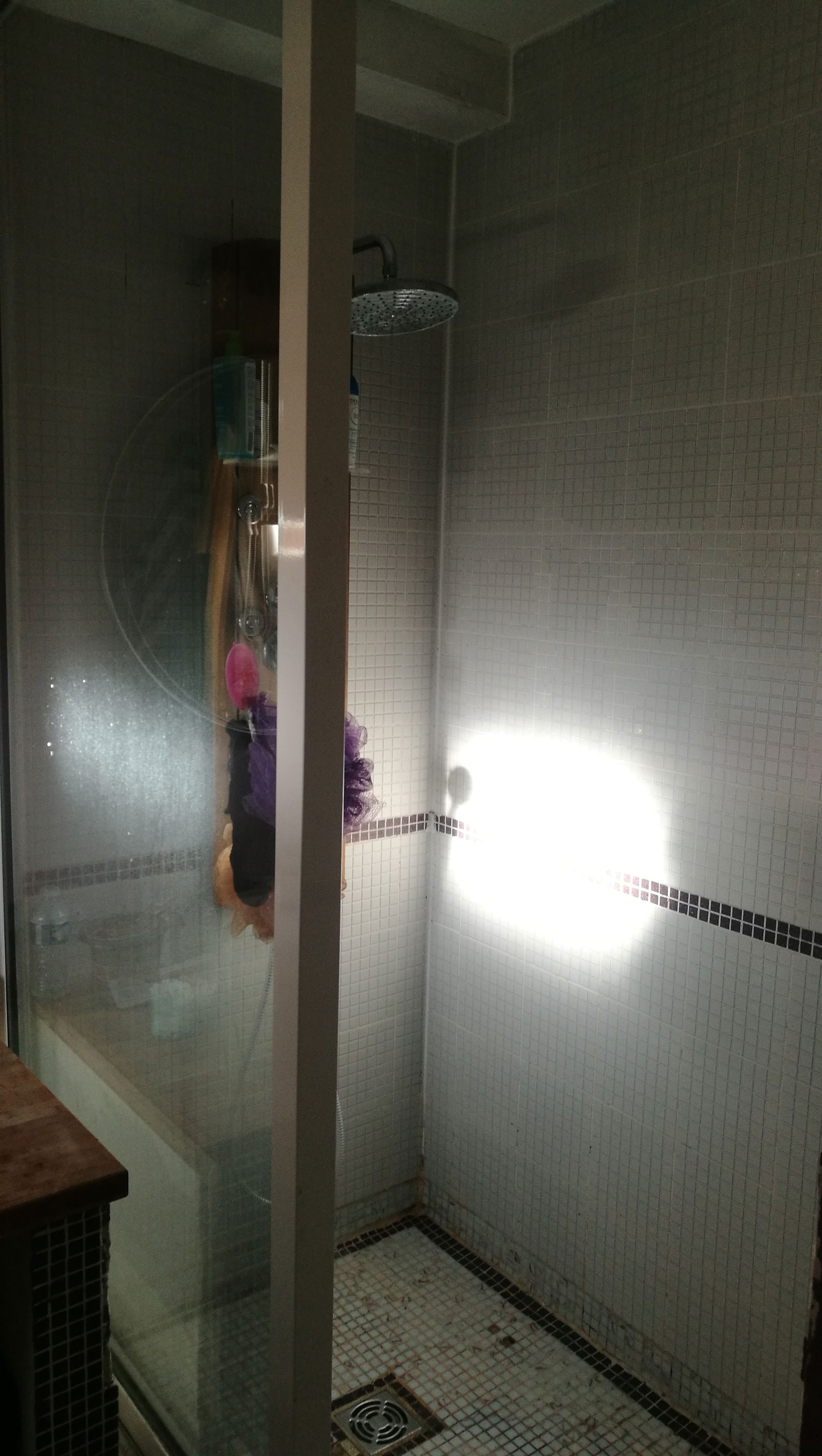 Famiglia Loubens-Lauragais 198153