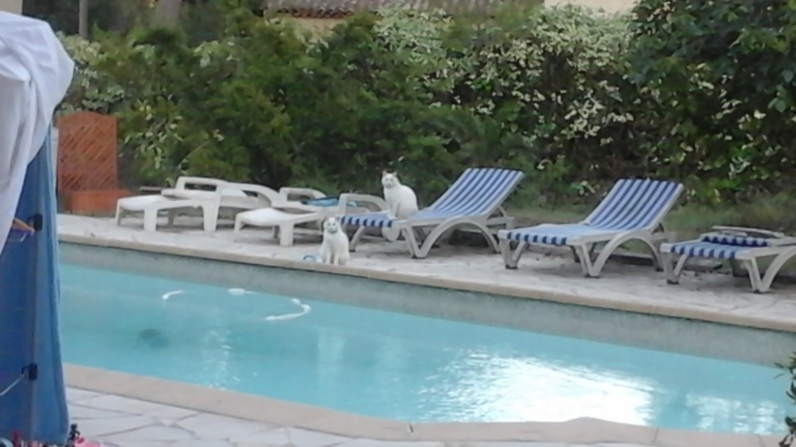 Famiglia Mougins 73197