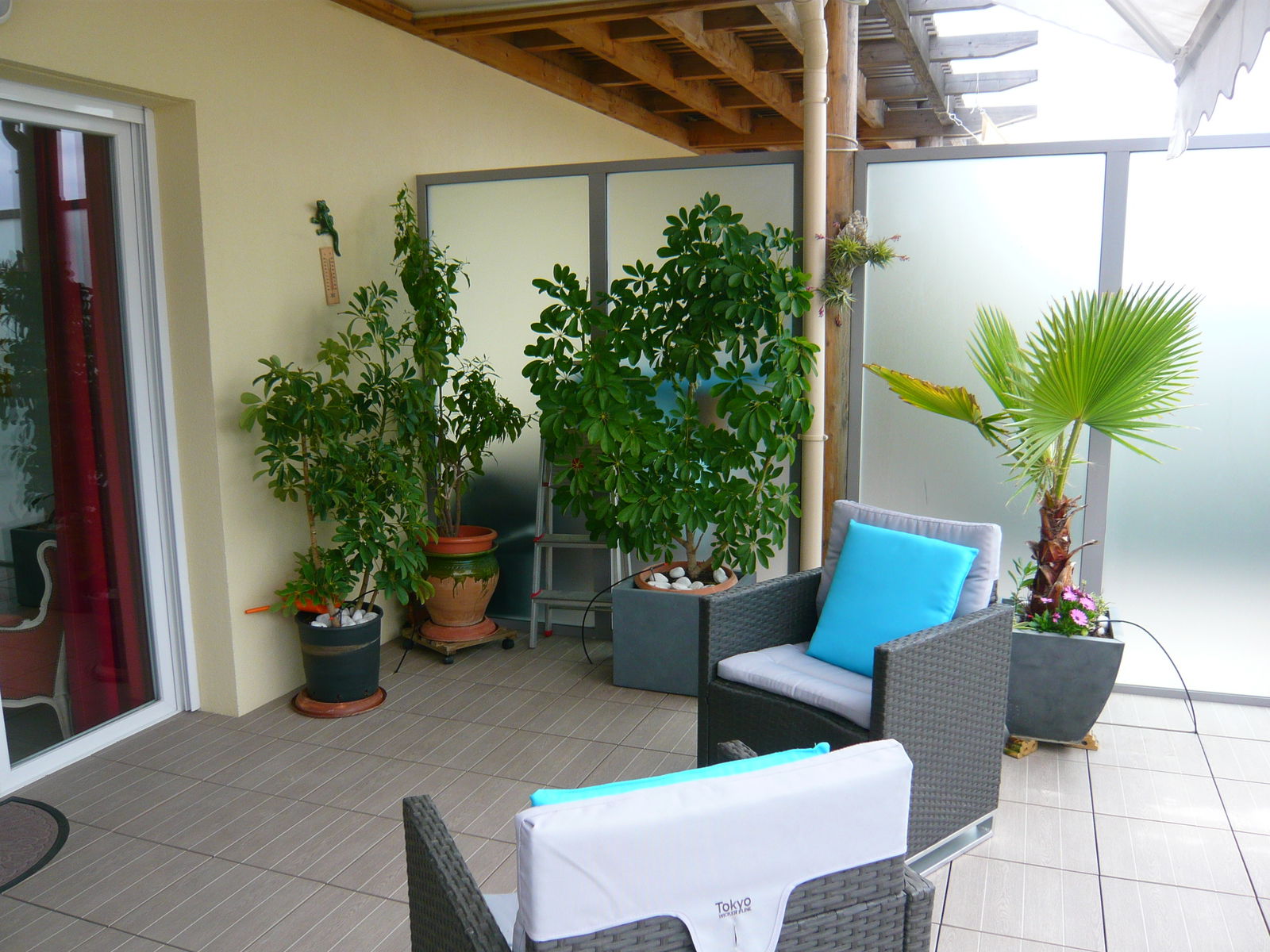 Famiglia Cannes 54159