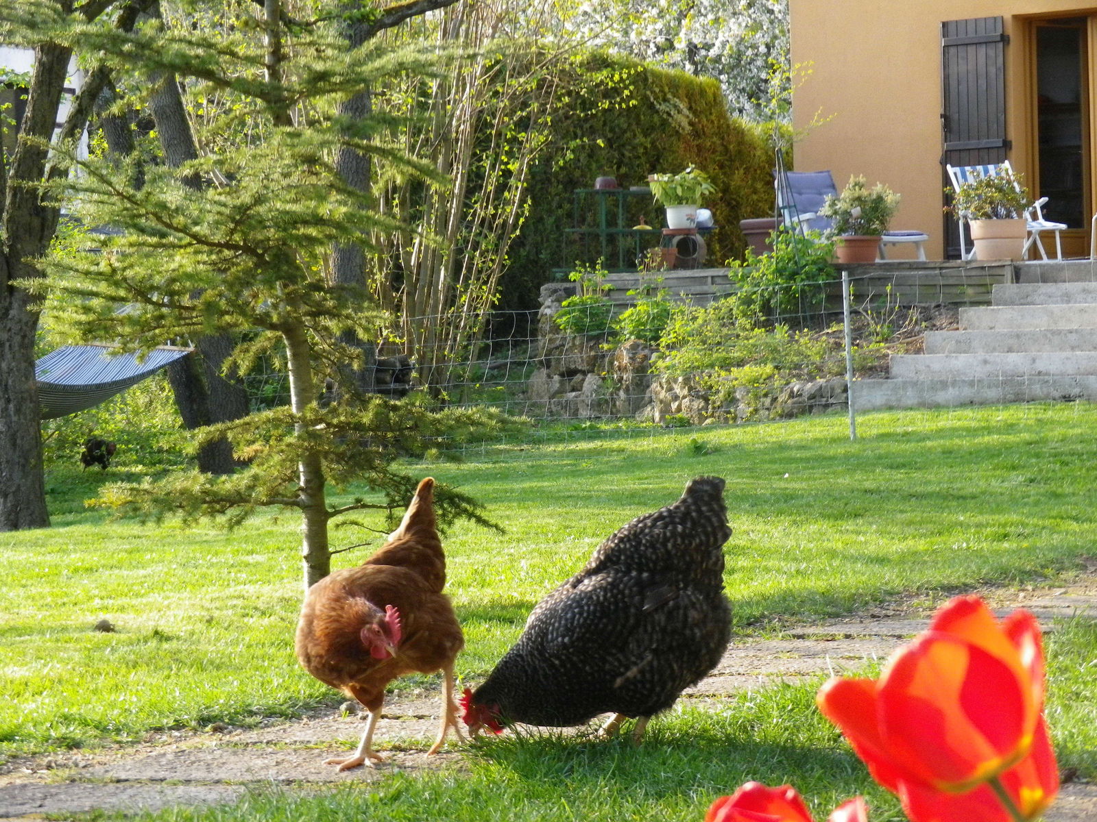 Famiglia Ormoy-la-Rivière 62462