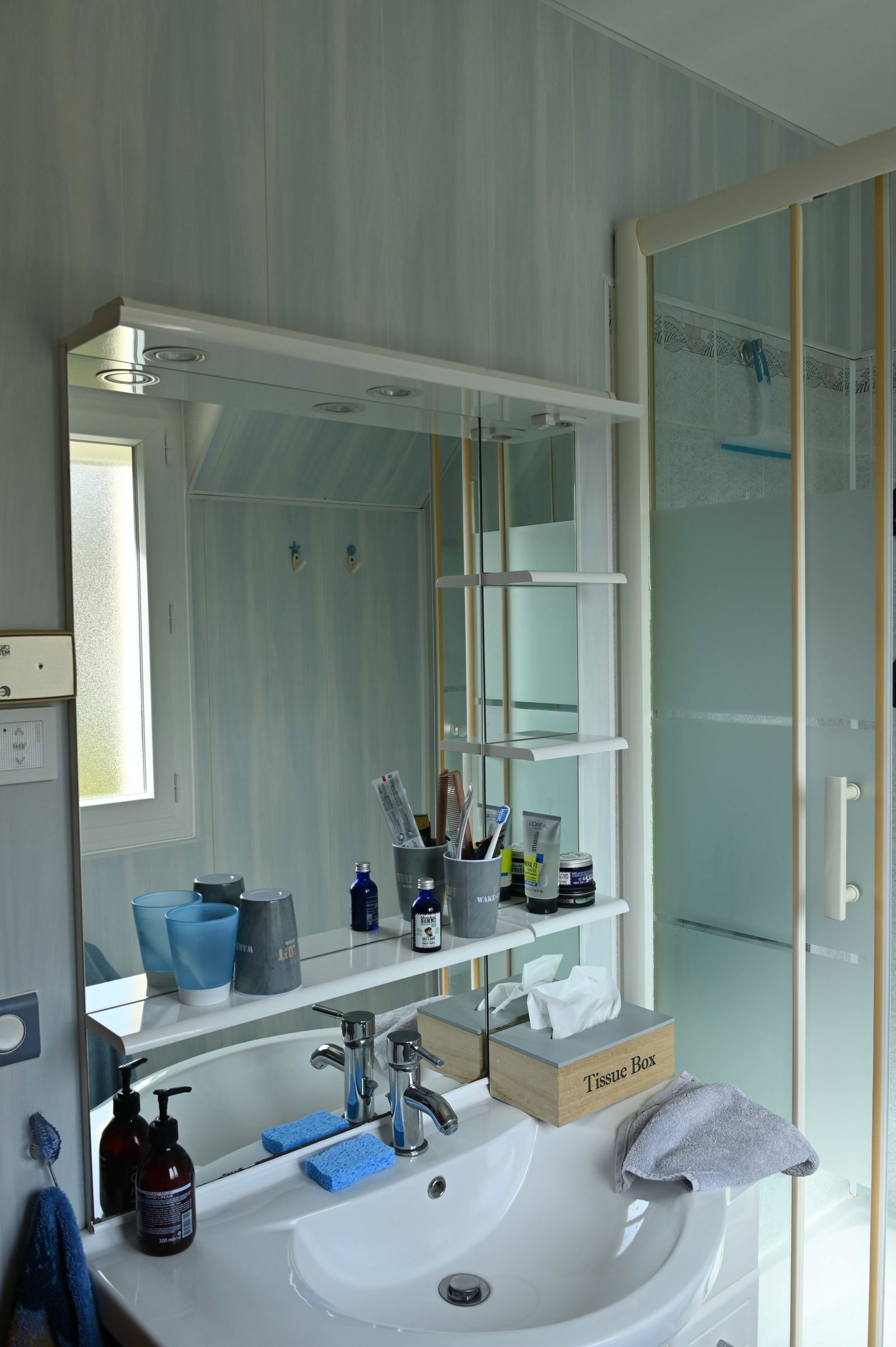 Famiglia Saint-Vrain 86761