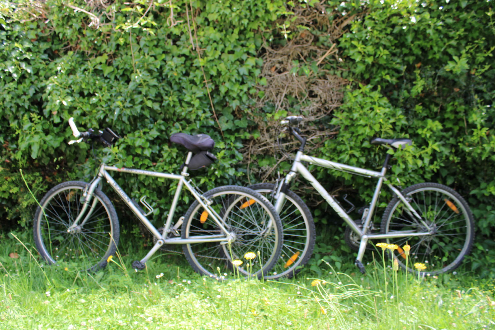 Famiglia Saint-Victor 34109