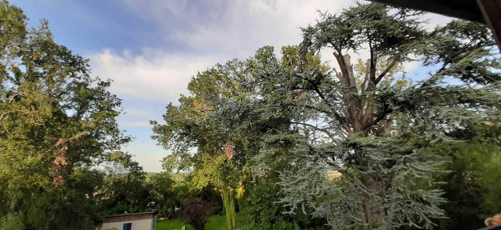 Collocazione Montry 251476