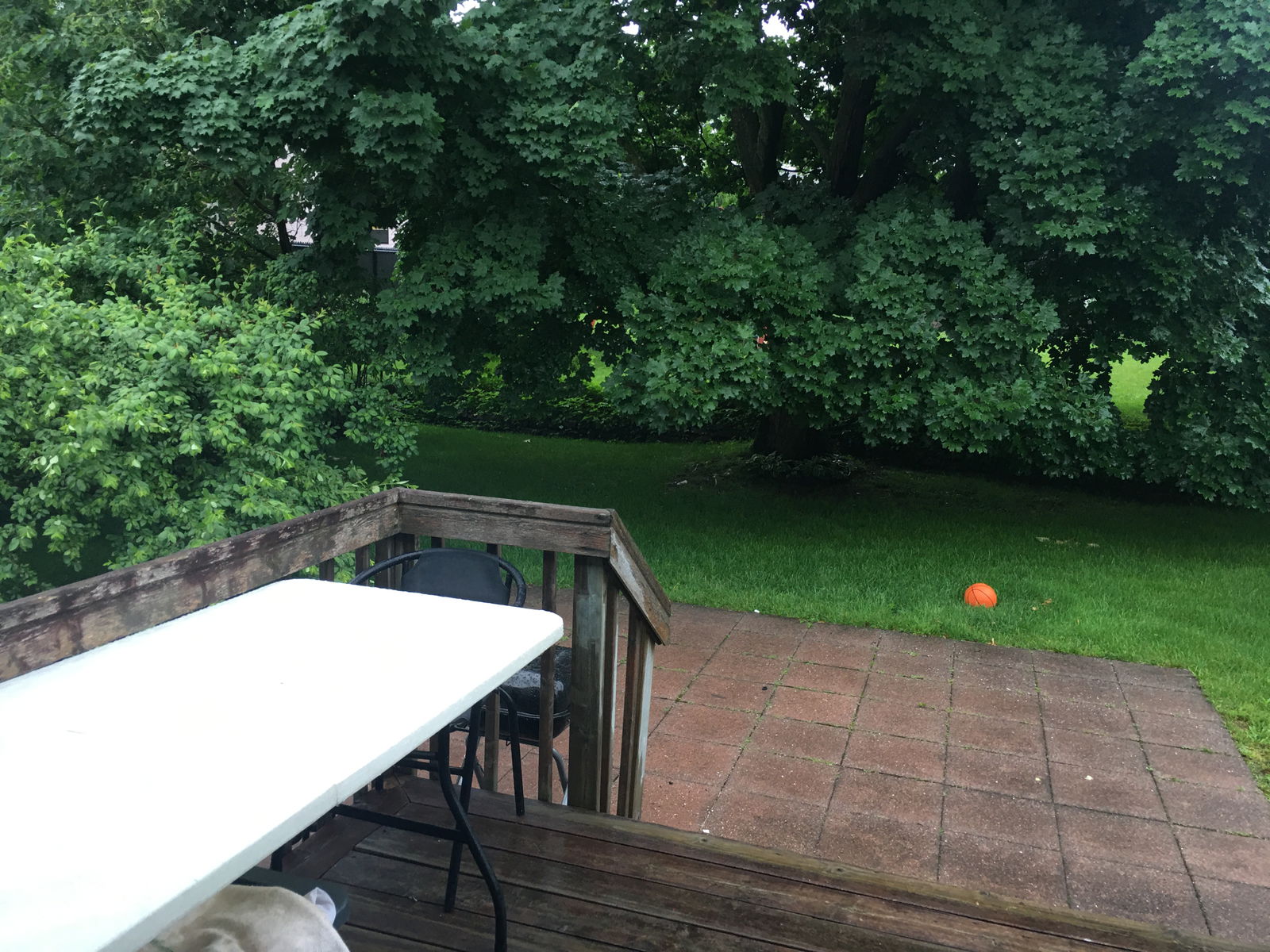 Collocazione Québec 266943