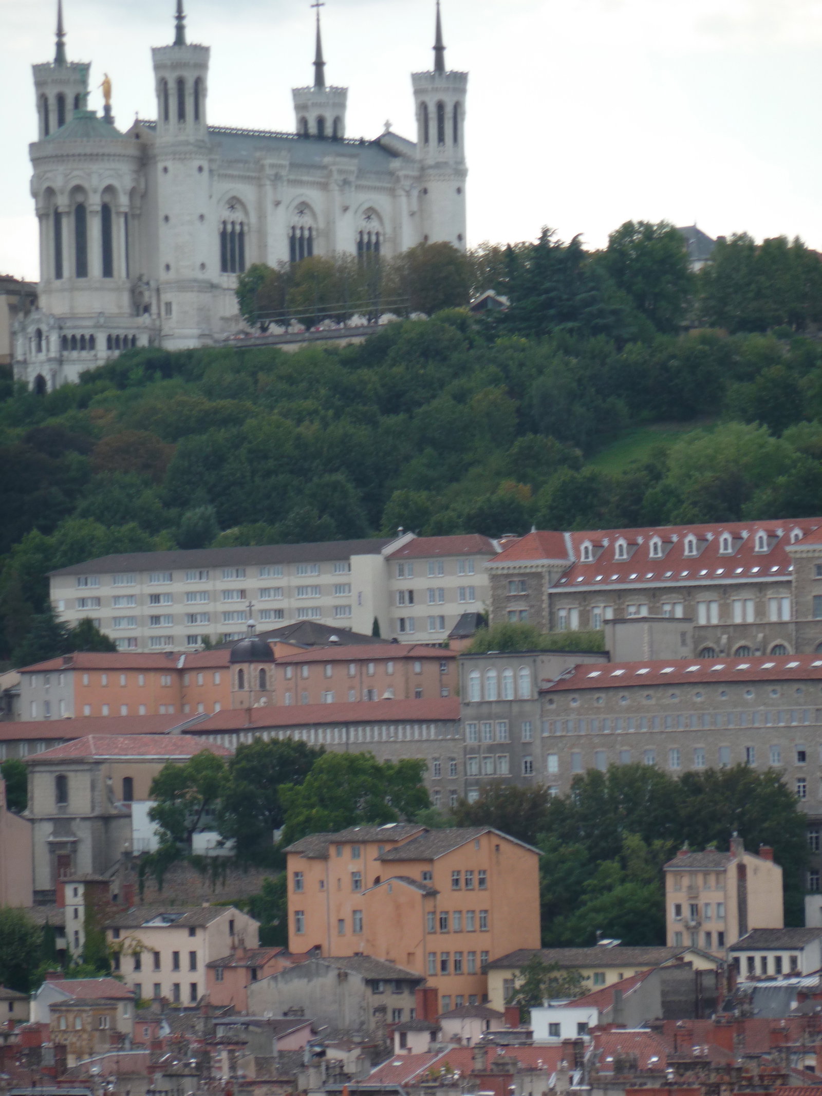 Famiglia Lyon 144849