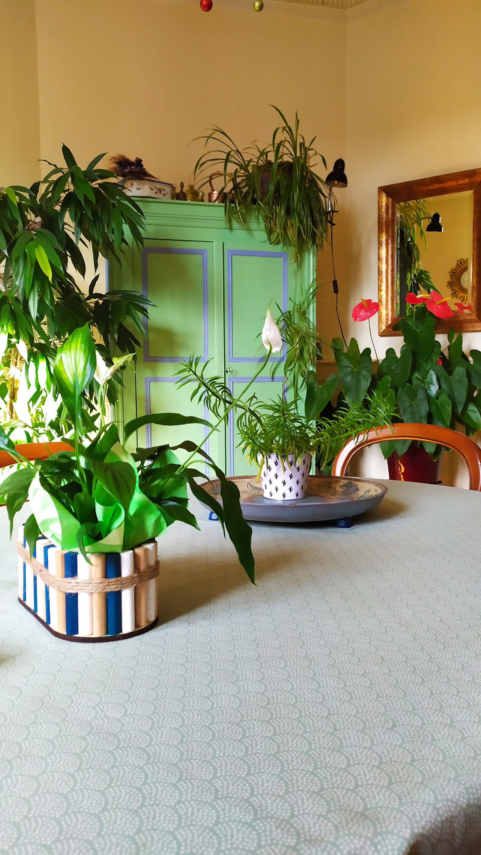 Famiglia Vichy 100653