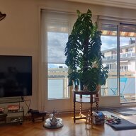 Coliving Lausanne 441014