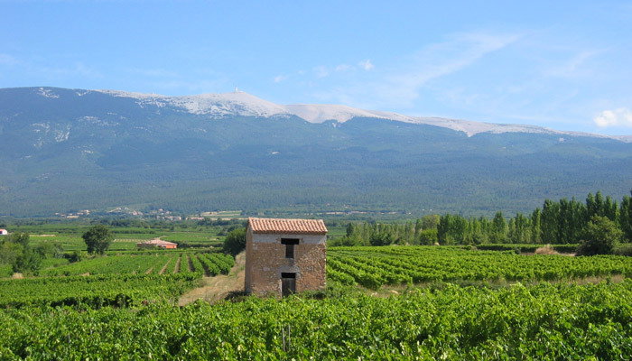 Famiglia Sérignan-du-Comtat 222639