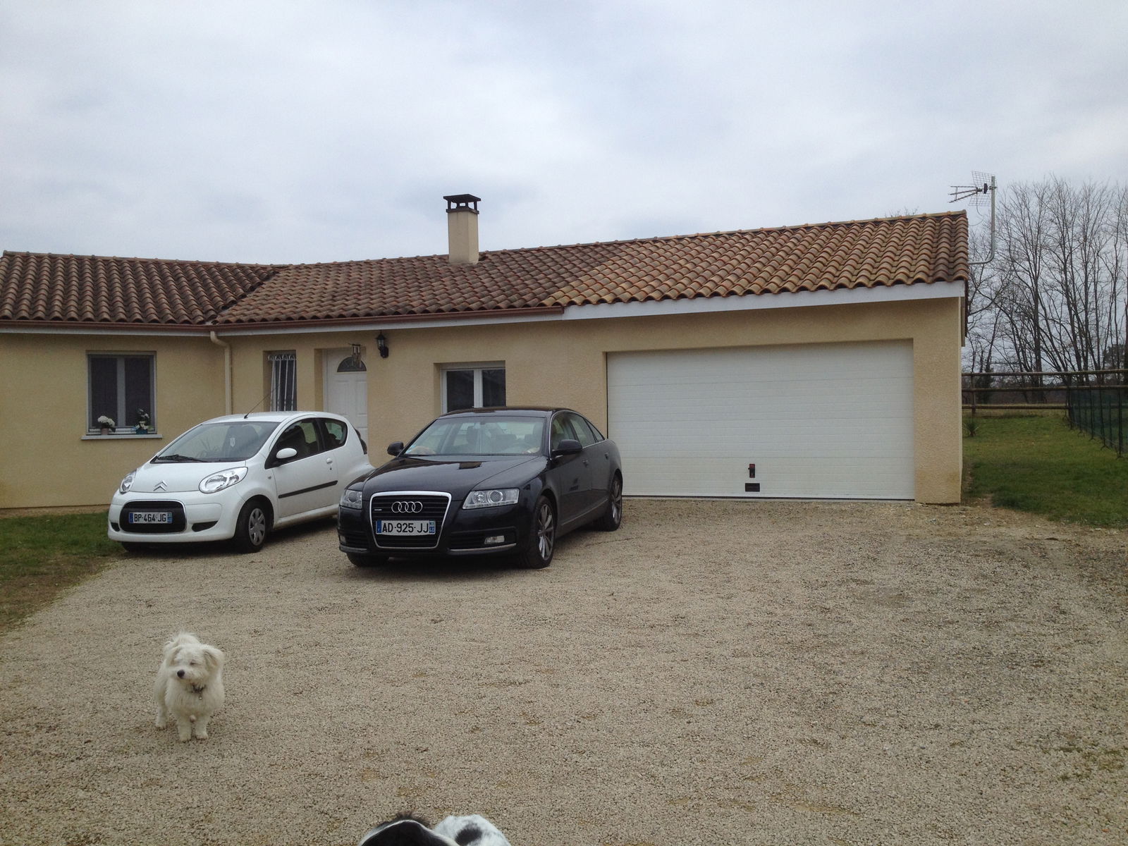 Famiglia Canenx-et-Réaut 98412