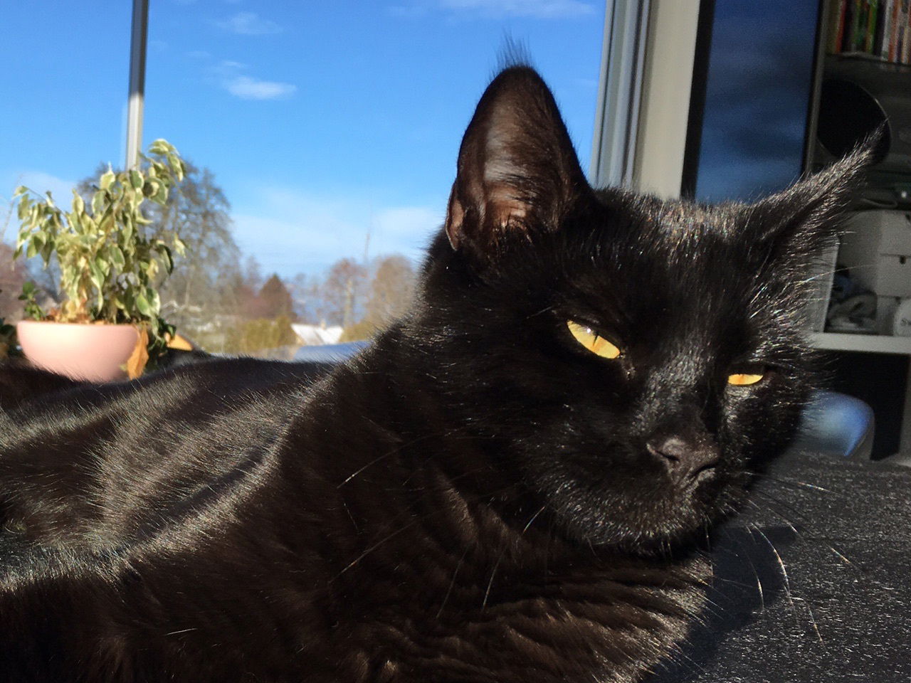 Famiglia Epalinges 200265