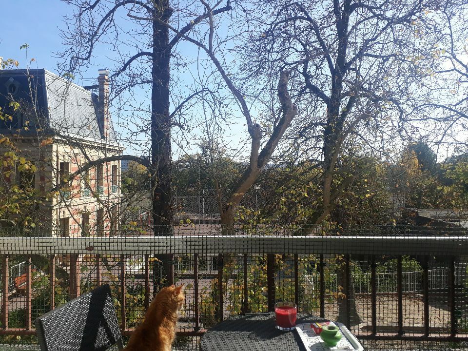 Famiglia Chatou 227706