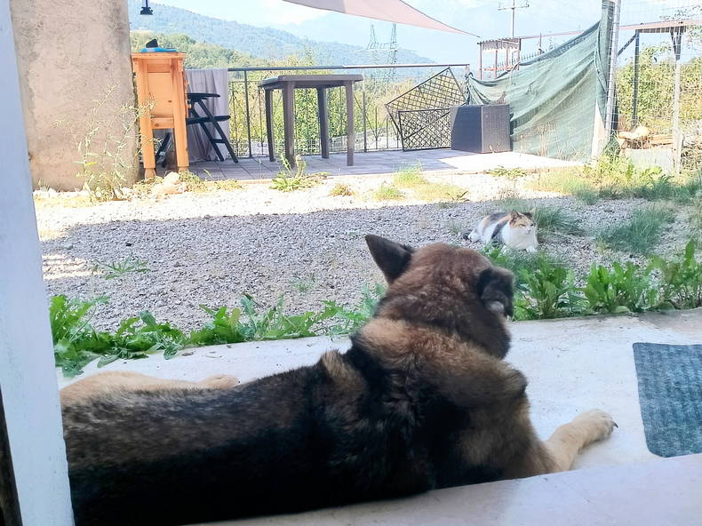 Chambres D'hôtes Campedei 428197-2