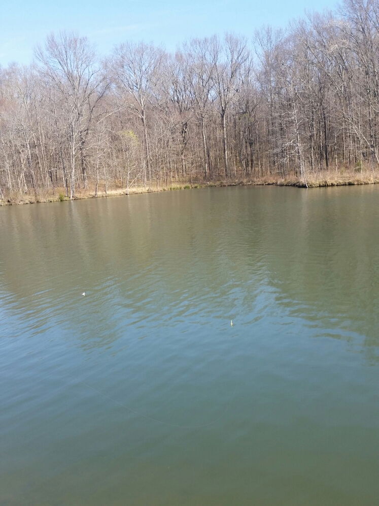 Famiglia Memphis 161278