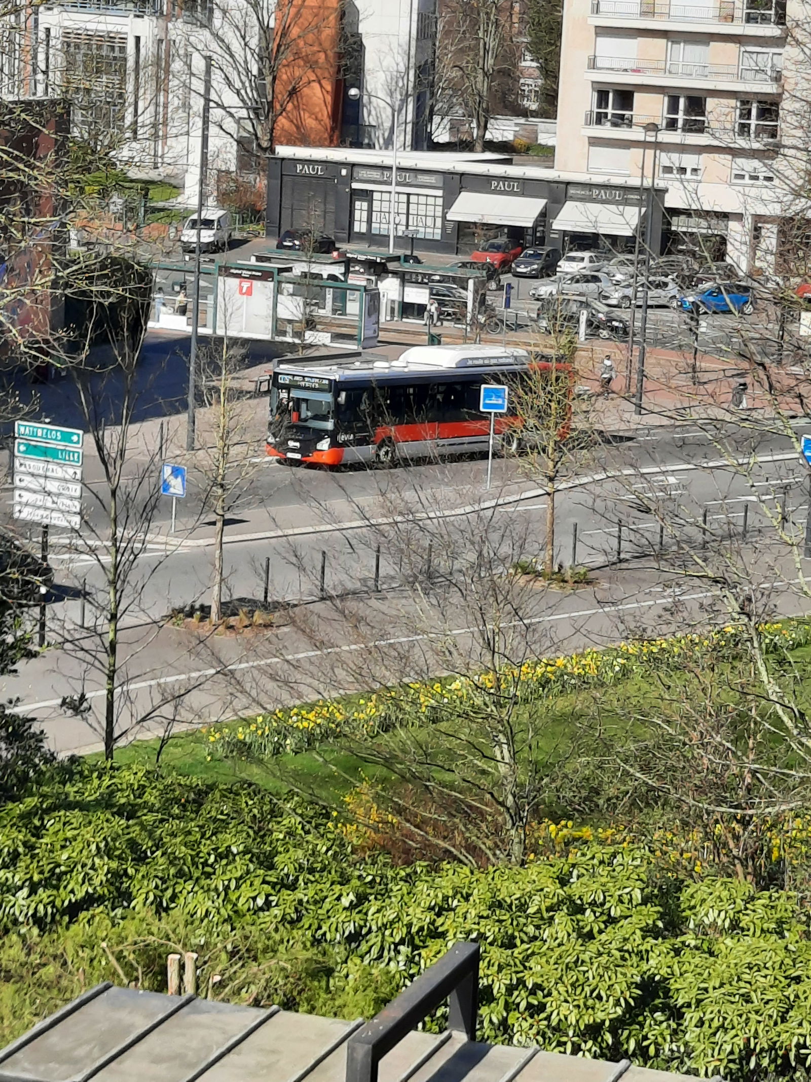 Famiglia Roubaix 118198