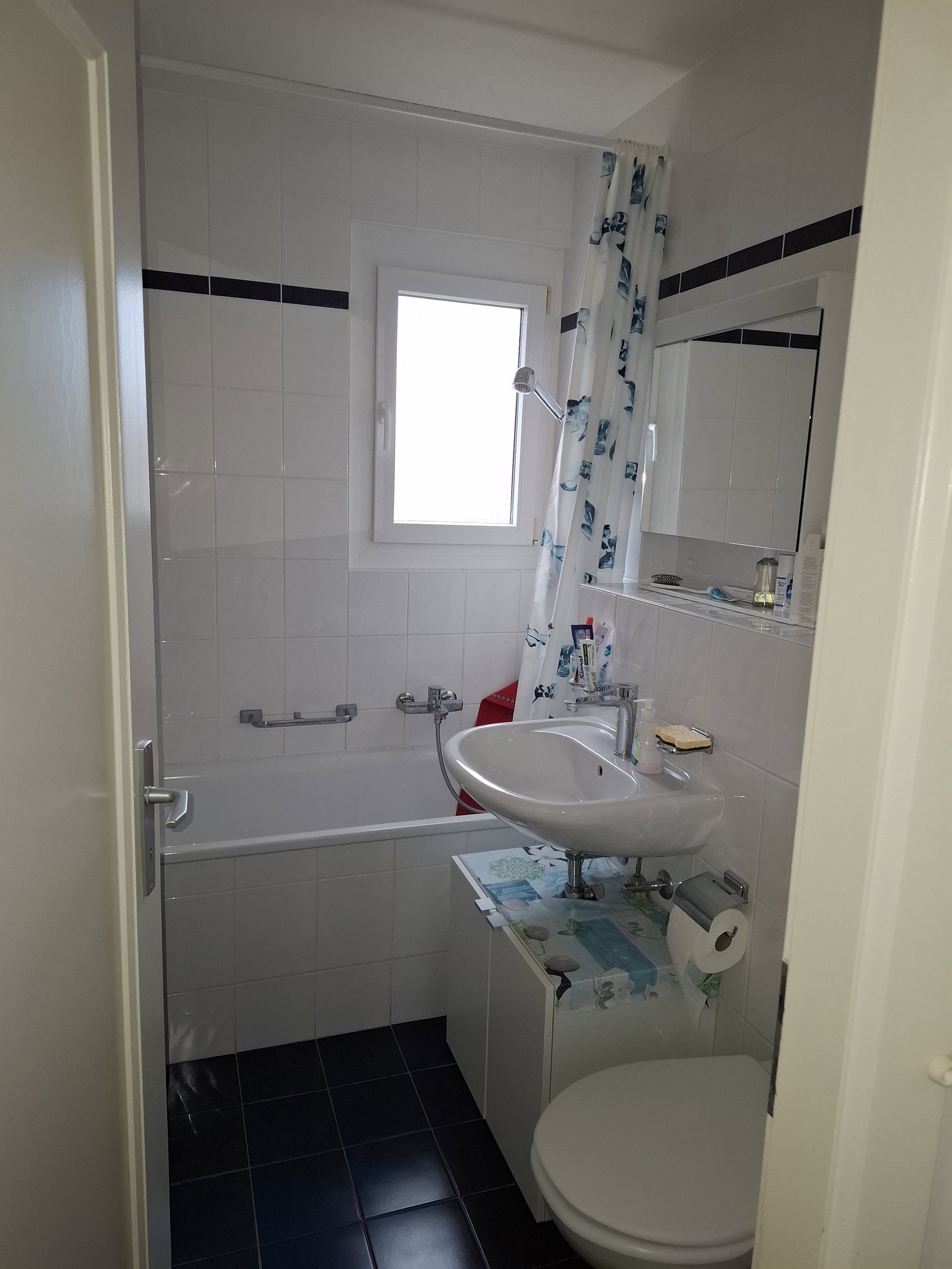 Famiglia Romanel-sur-Lausanne 659880