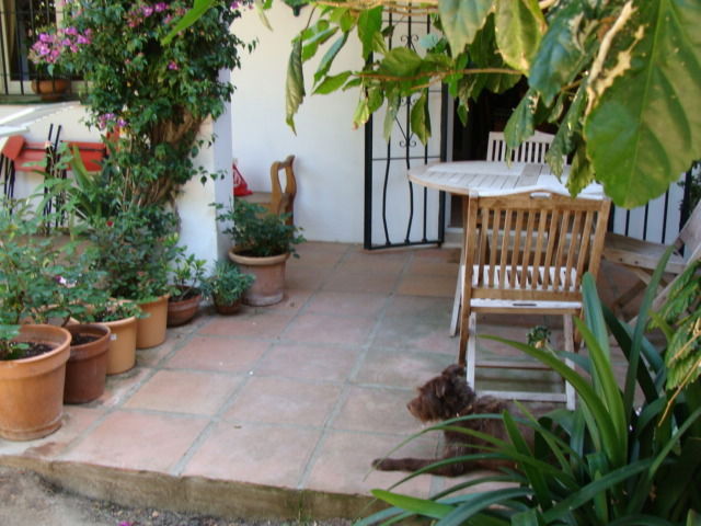 Famiglia San Pedro de Alcantara 28489