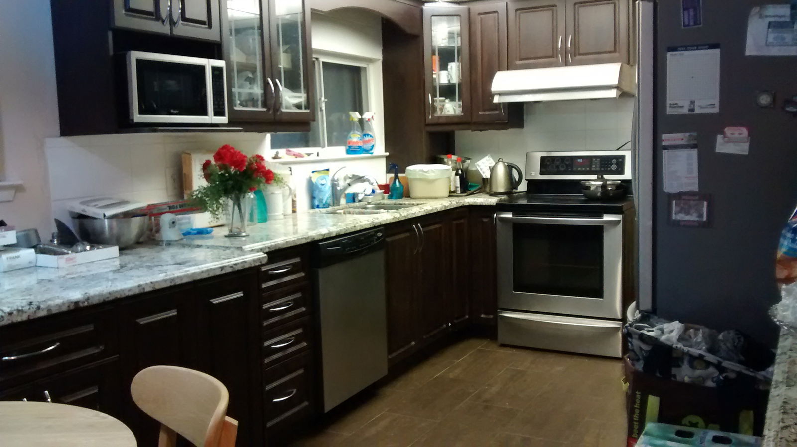 Famiglia Mississauga 234484