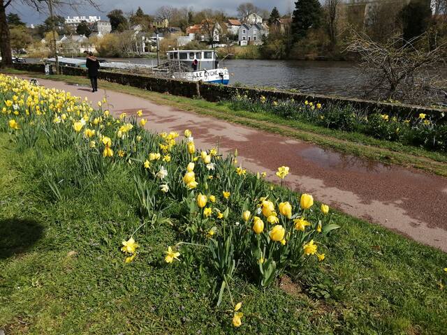 Famiglia Nantes 266328