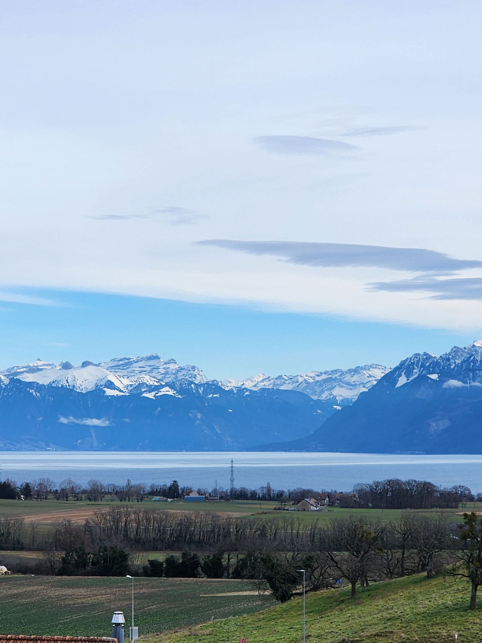 Famiglia Yens 476480