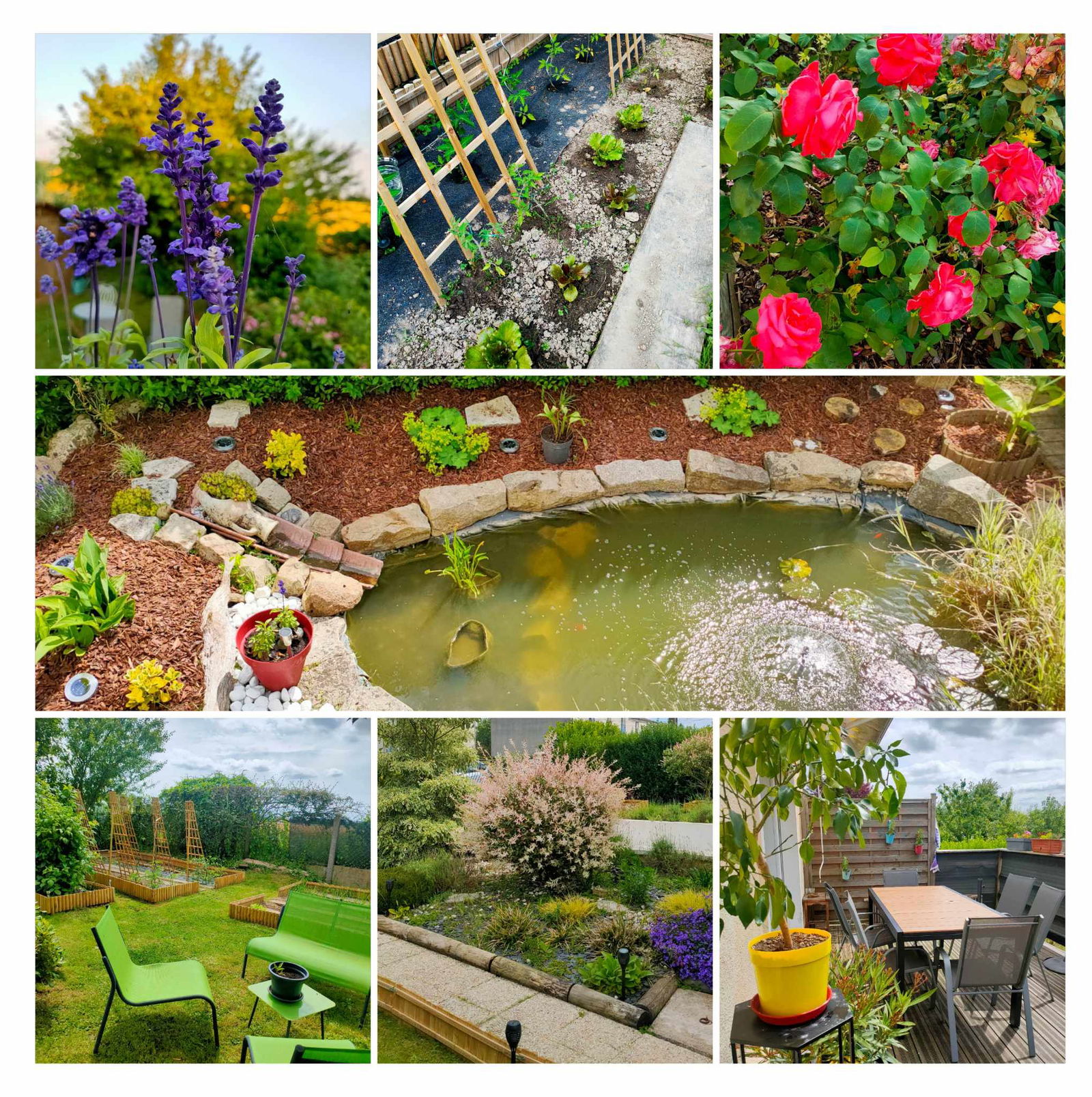 Camere Per Gli Ospiti Courtenay 428122