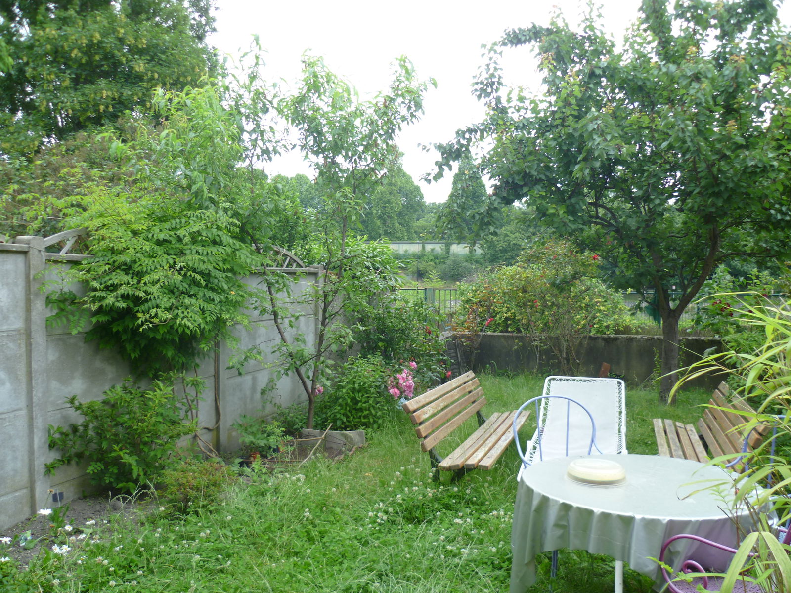 Famiglia Maisons-Alfort 74126