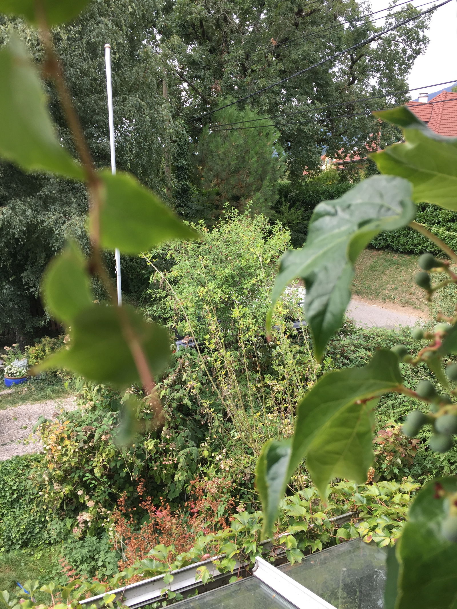 Famiglia Thoiry 210706