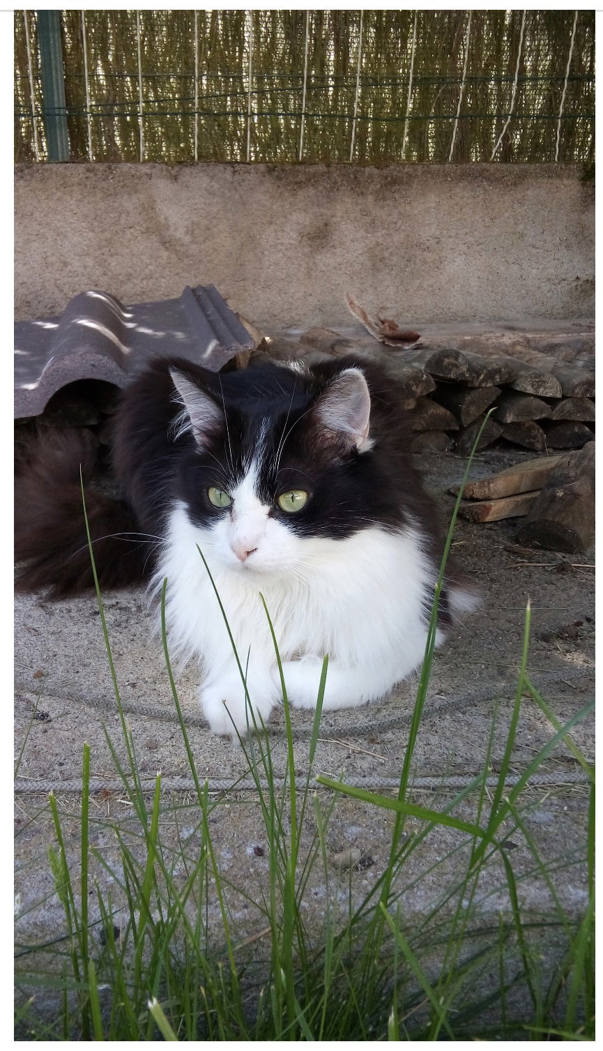 Famiglia Bourges 307586