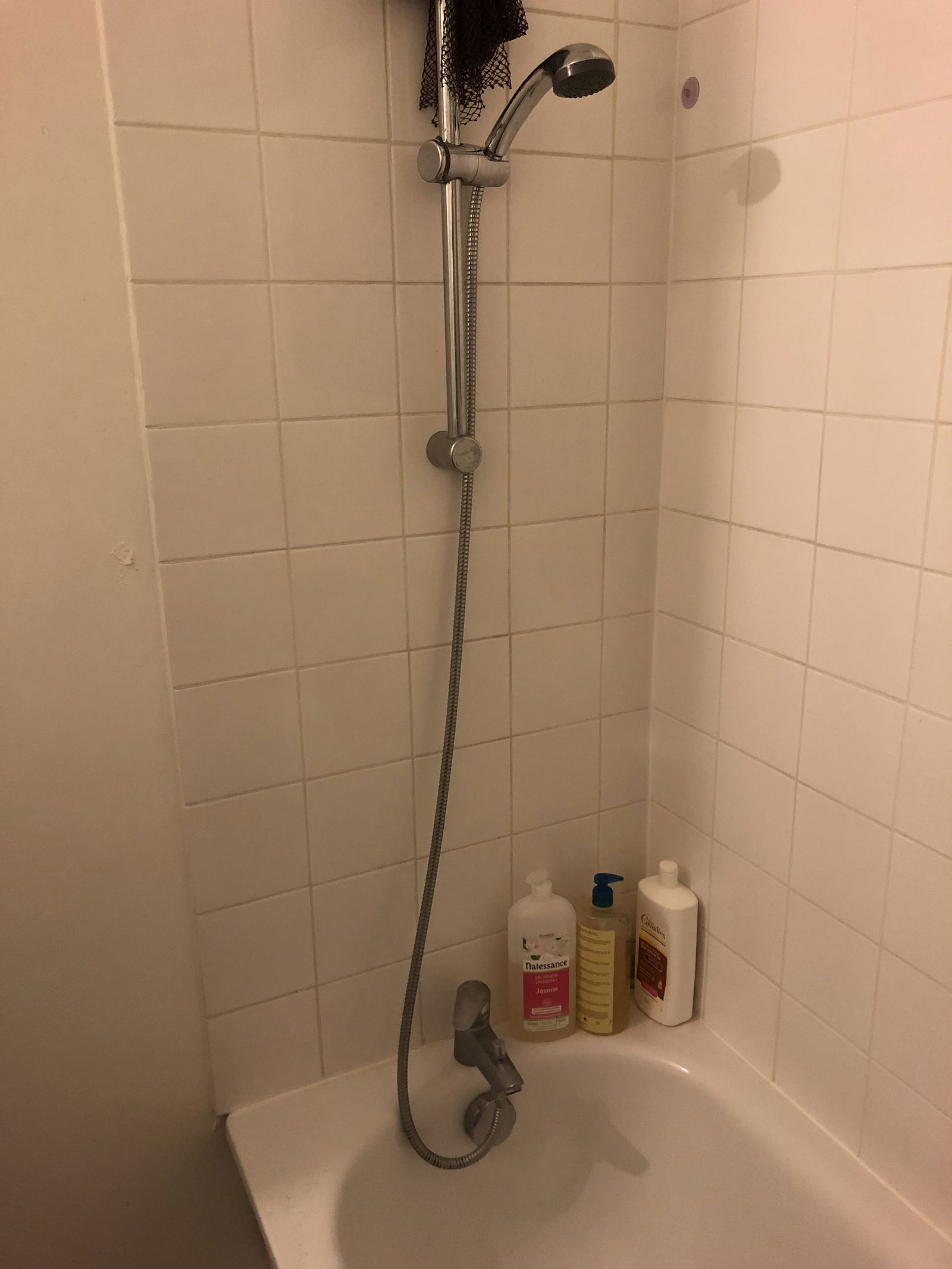 Famiglia Paris 266892