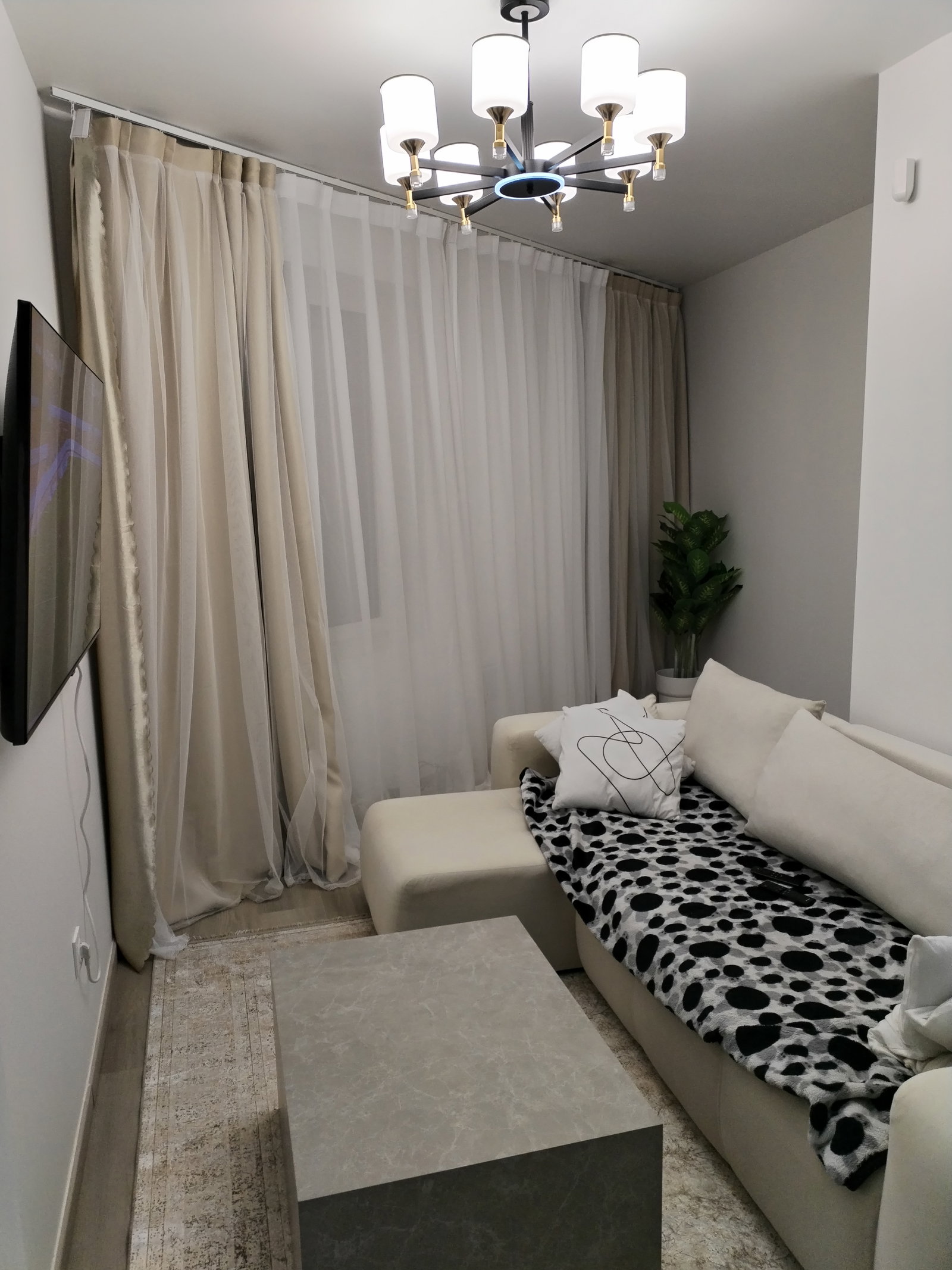 Famiglia Molsheim 655441