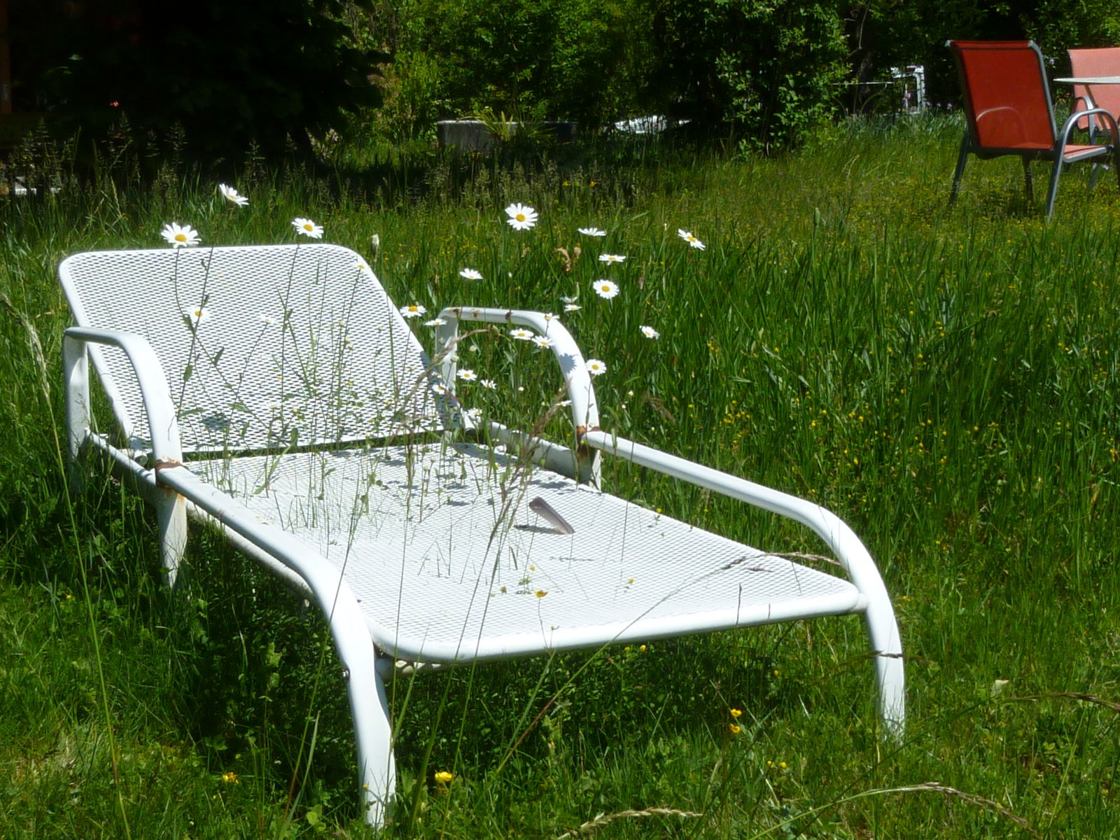 Famiglia Troinex 330126