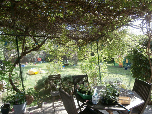 Famiglia Tarascon 23465