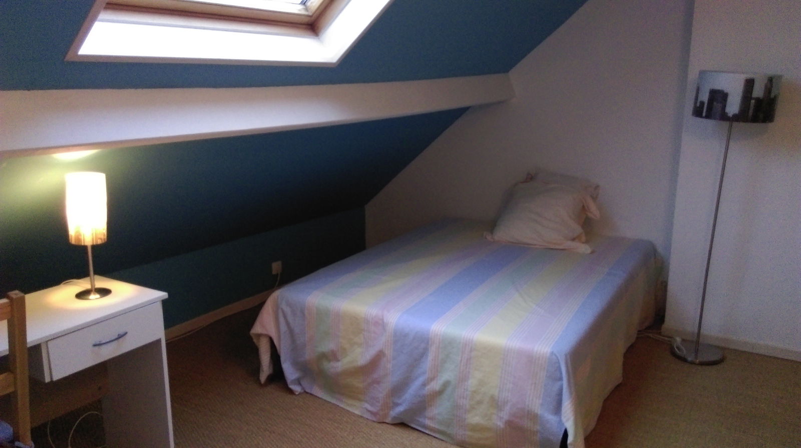 Collocazione Loos 133837