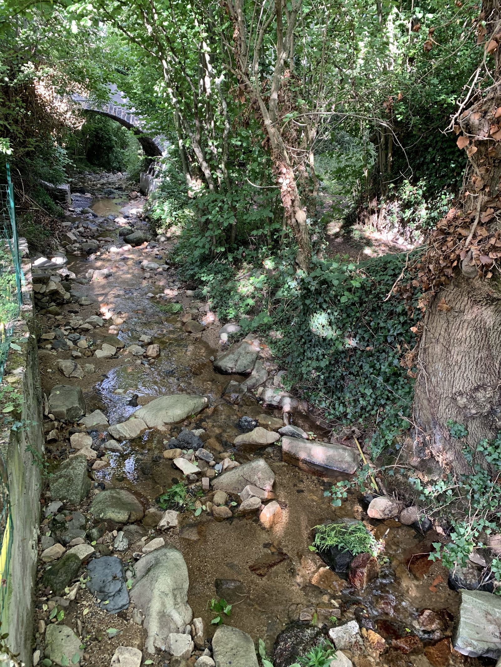 Famiglia Ceyrat 240453