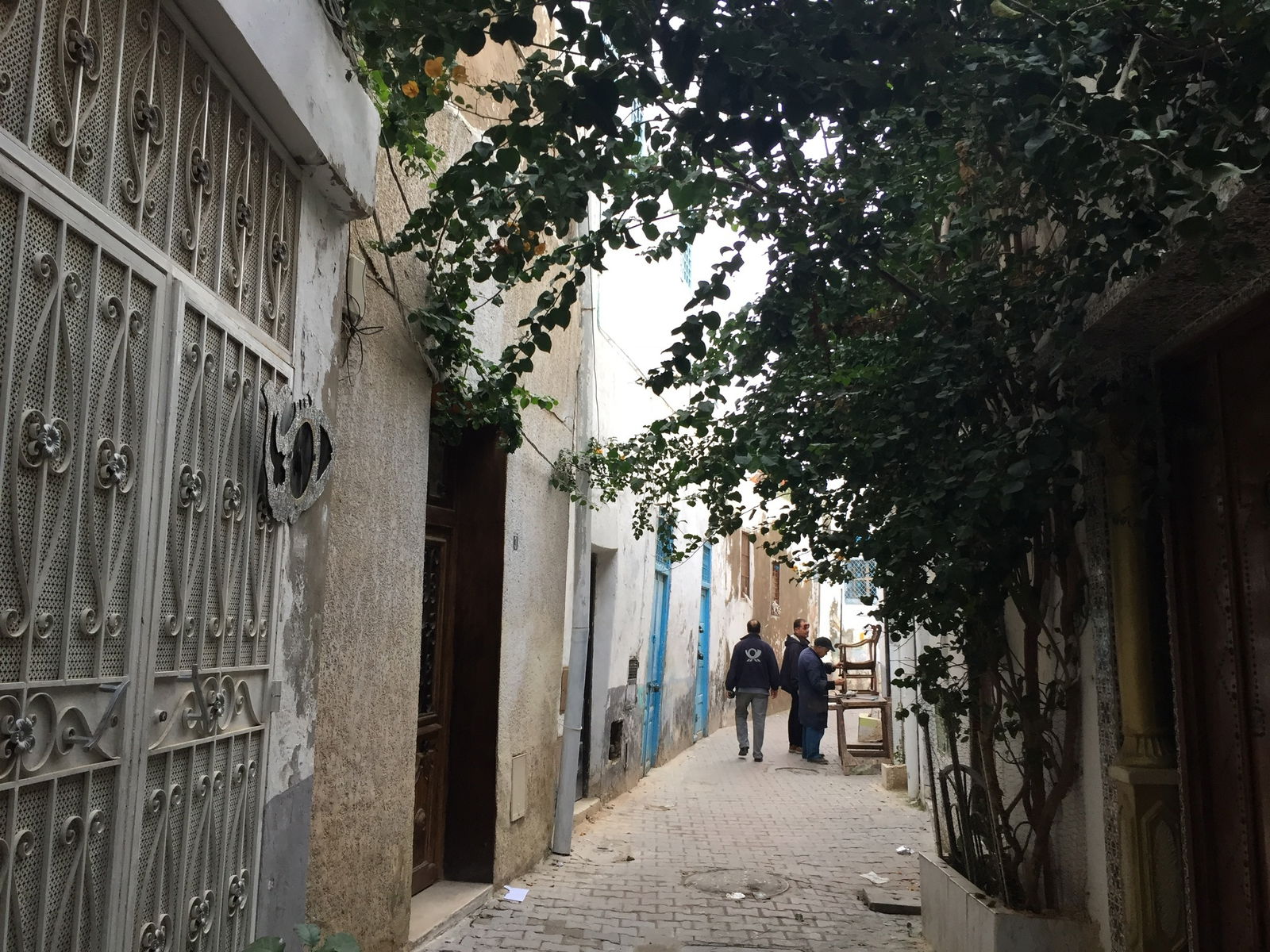 Tutta La Casa Tunis 164865