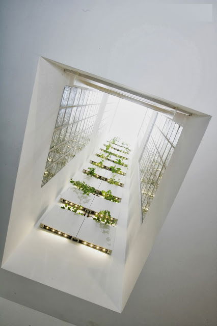 Famiglia Sevilla 116508