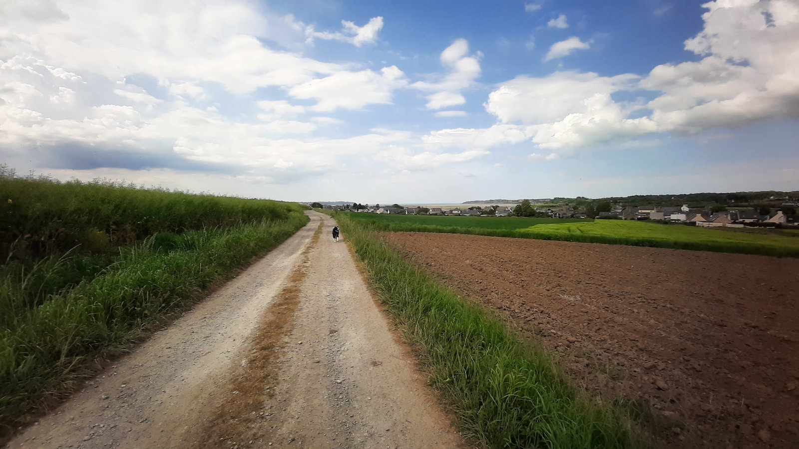 Famiglia Langueux 265817
