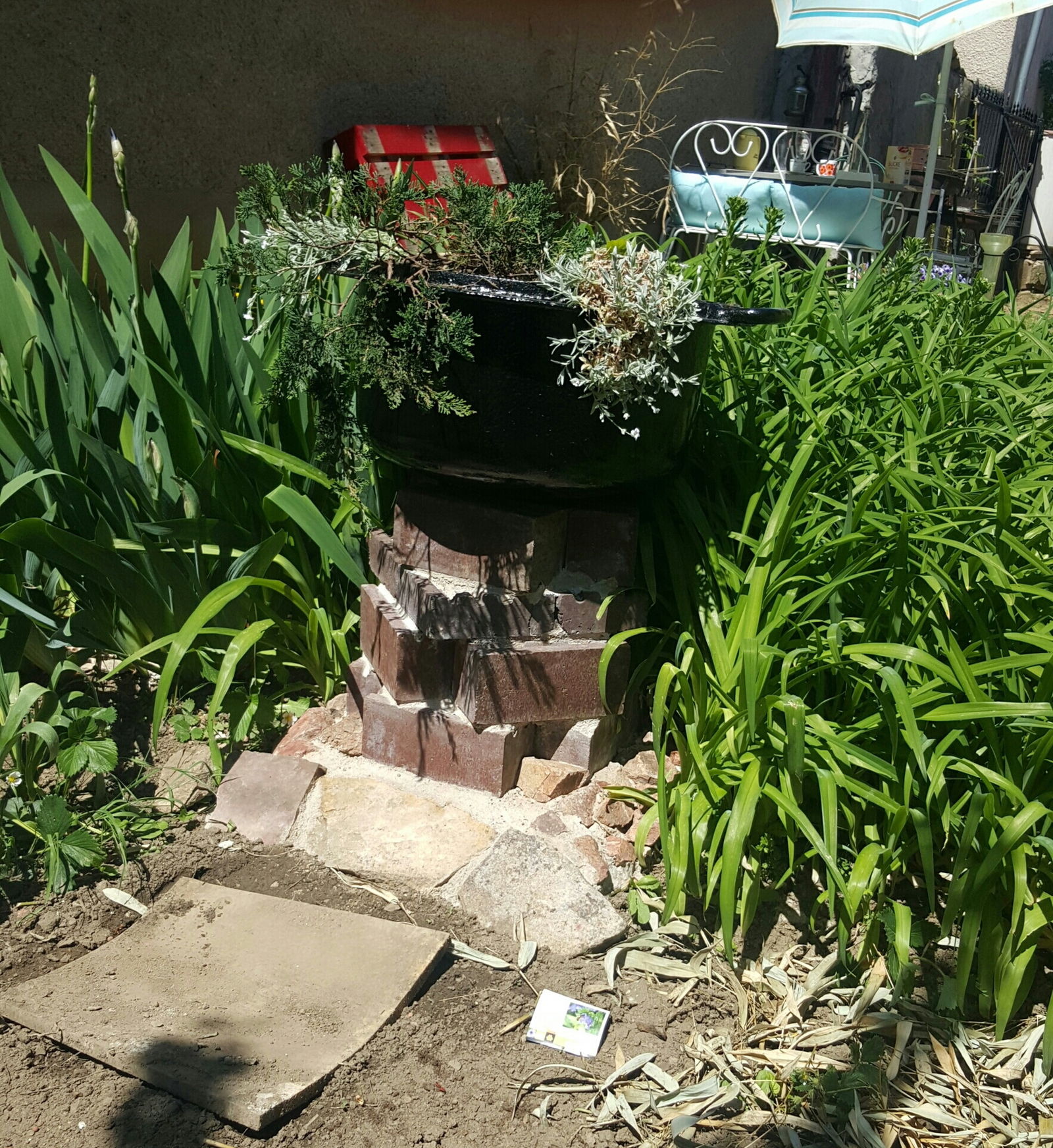 Famiglia Juliénas 219586