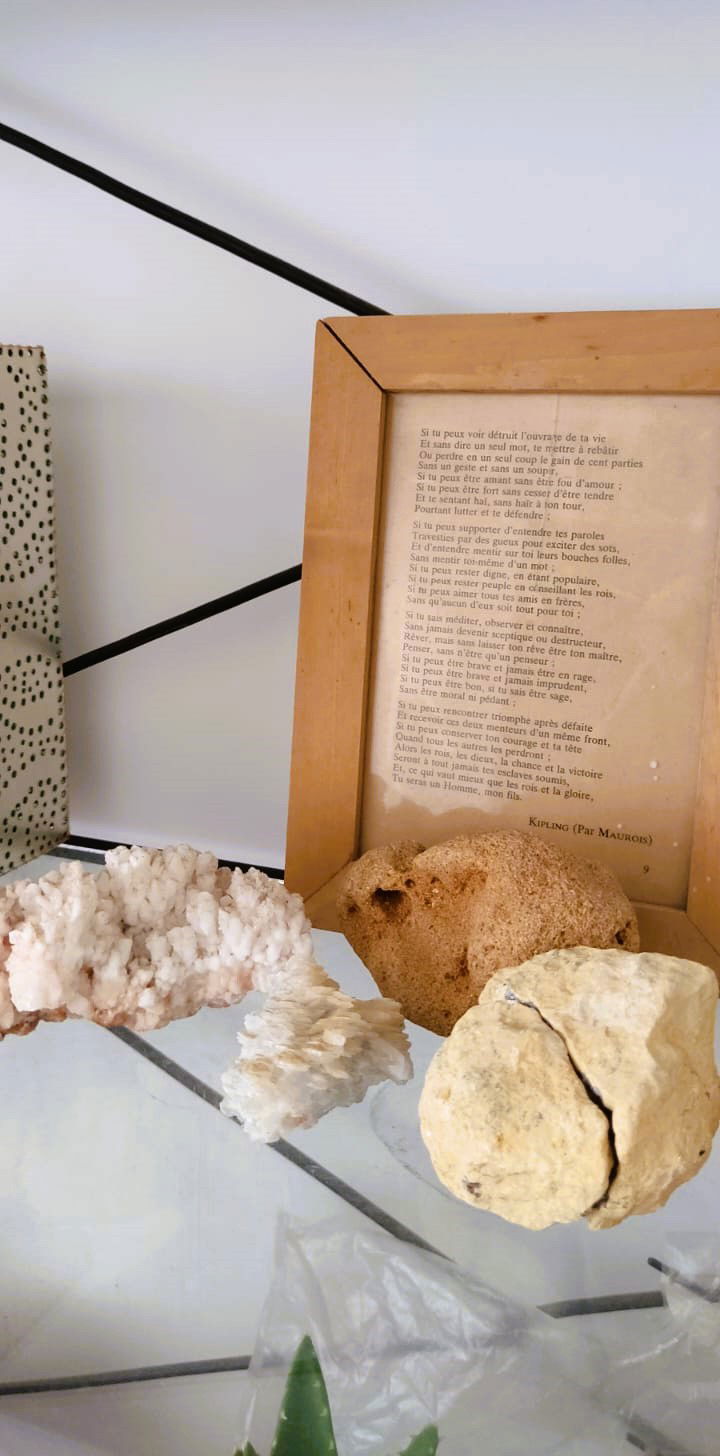 Famiglia Site archéologique de Carthage 64749