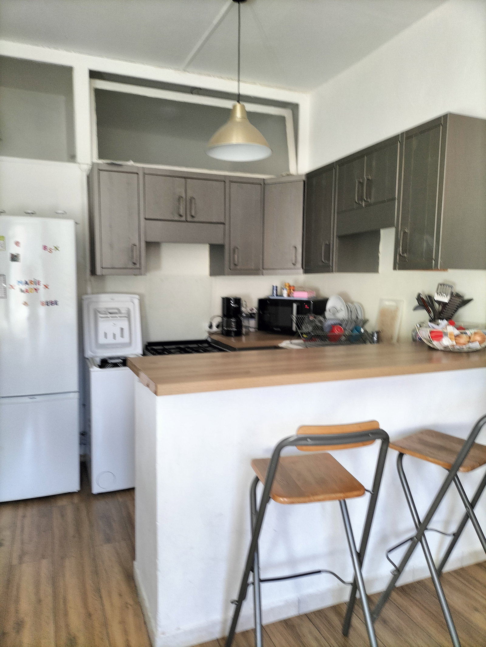 Famiglia Lyon 383027