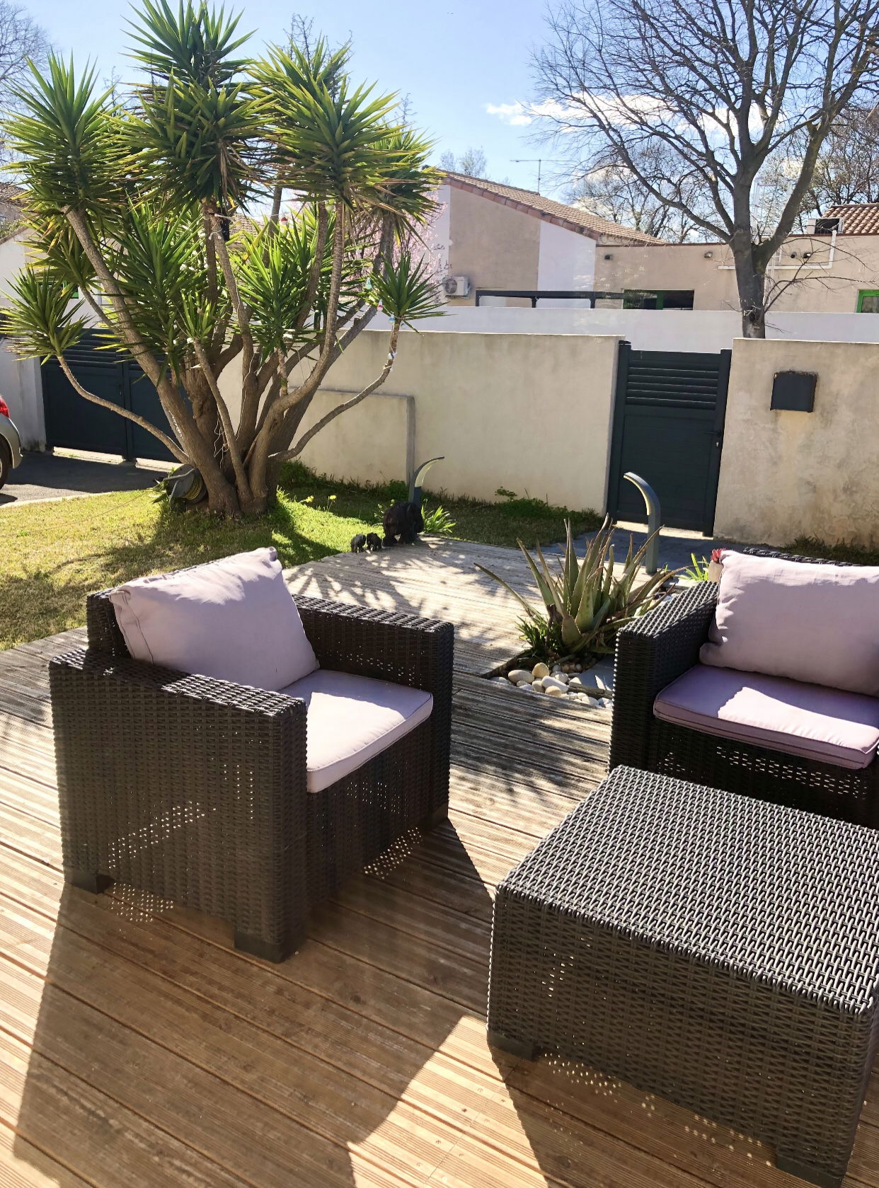 Famiglia Lattes 265919