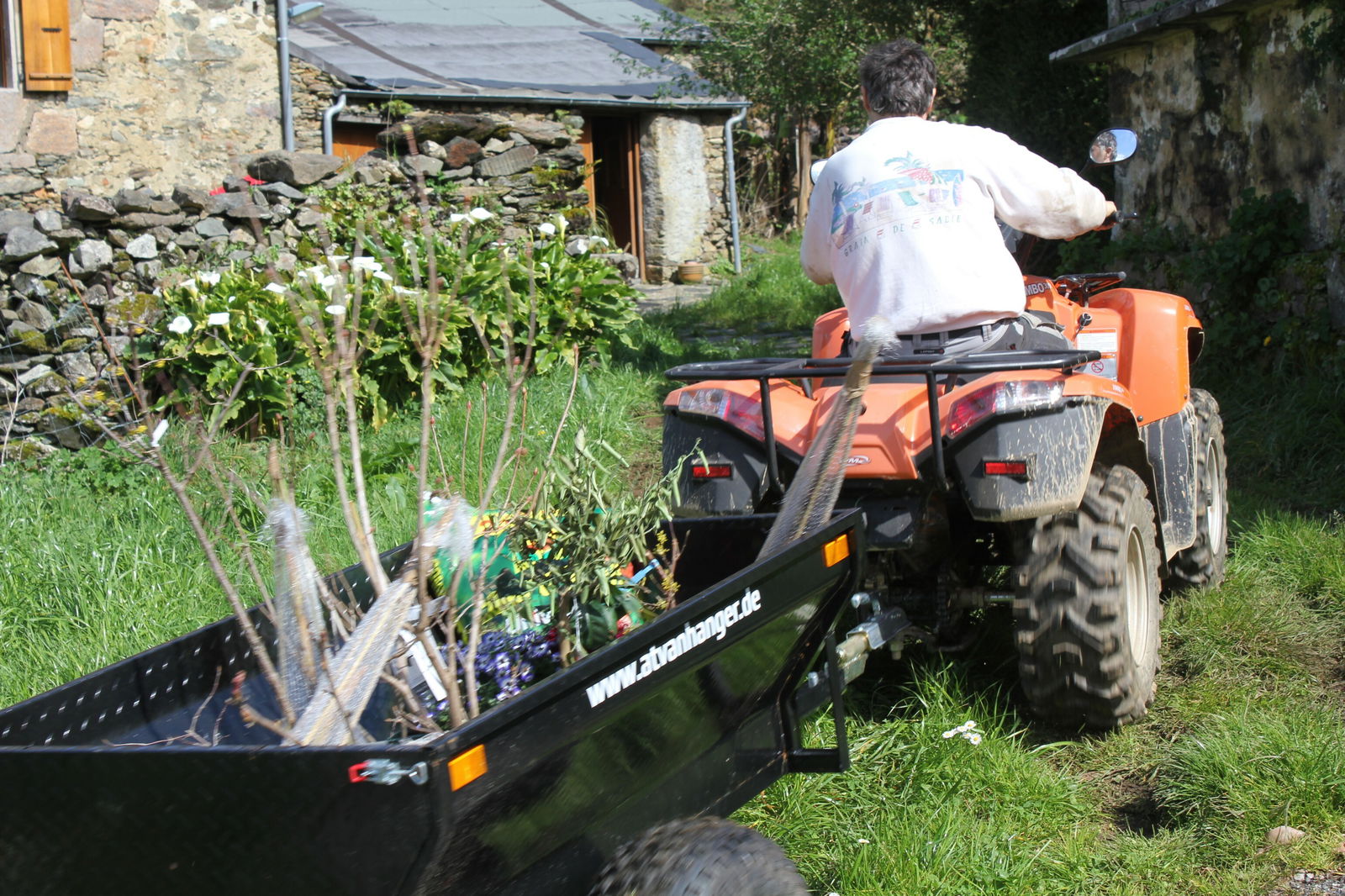 Famiglia Ortigueira 231963