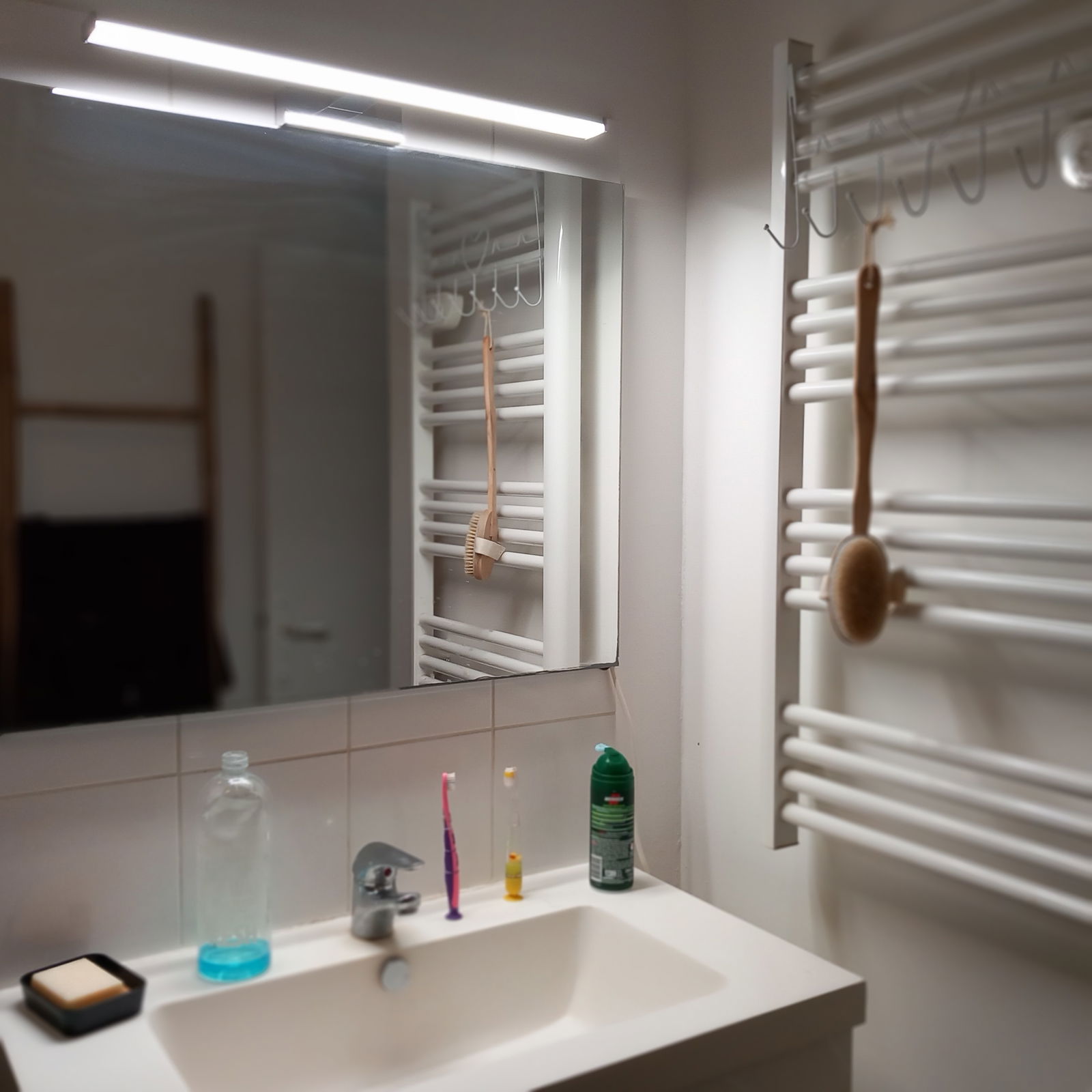 Coliving Senlis 546343