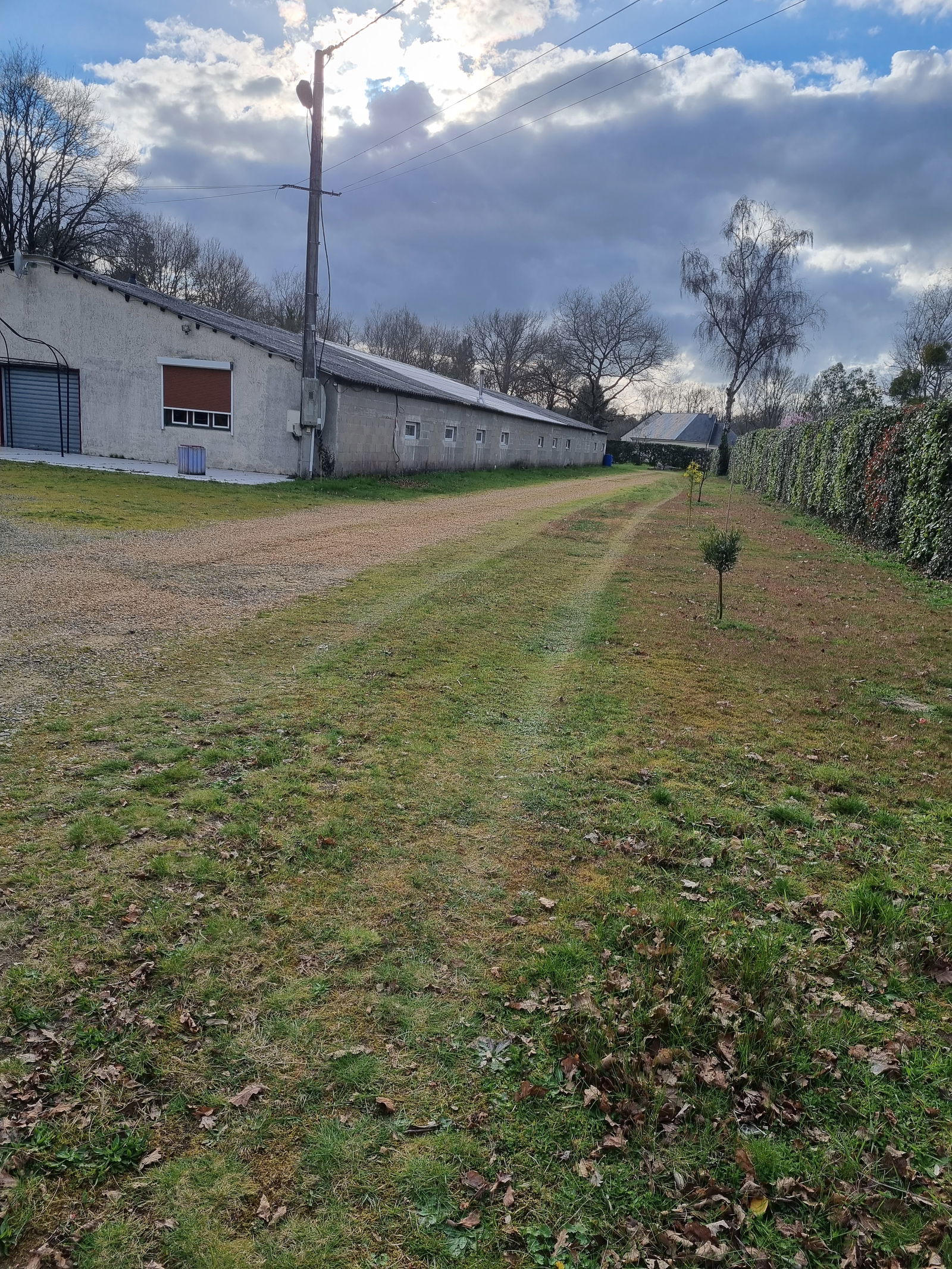 Famiglia Ruaudin 77853