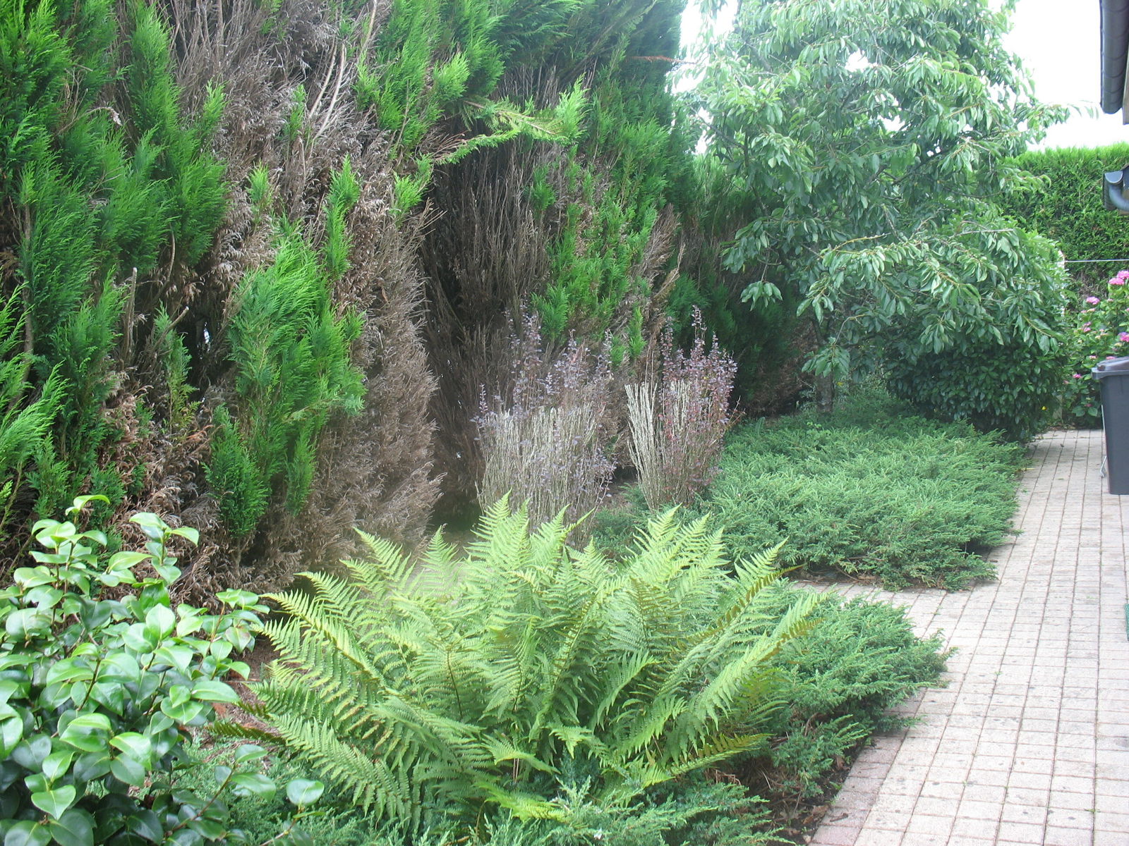 Collocazione Laval 258554